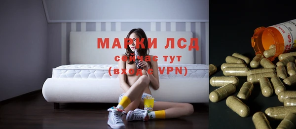 mdpv Верея