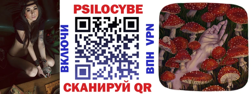 darknet клад  Княгинино  Галлюциногенные грибы мицелий 